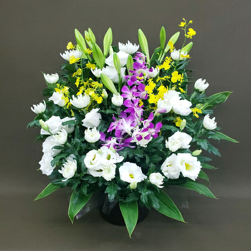 圧倒的人気 あす楽対応 M5TZ2GQ2MP3 型番:M5TZ2GQ2MP3