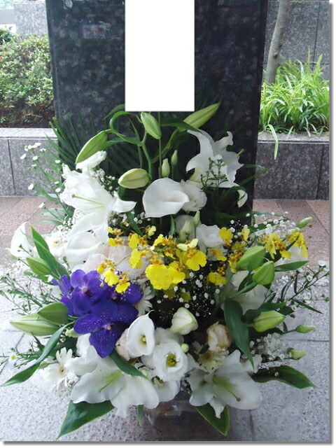 あす楽対応  【MSTLDPXAMLJ】 限定デザイン