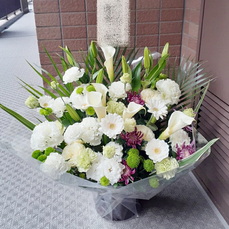 リピート多数 最短翌日お届け M7W8AEJ0ZC9 型番:M7W8AEJ0ZC9