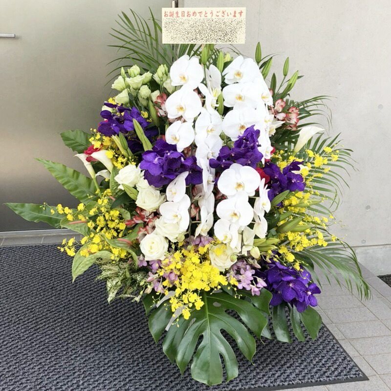 全国送りとどける能力のある！ 夢見鳥蘭入り口・入口 お任せ申し合わせ rtar056 壺花 入社式・はいり込む式・定期総会などにも つぼ花・街頭演説台花 ※15時までのご申し付けるで当日送りとどける出来る領域あります。また宅急便でまたの日お届けも能力のあるです