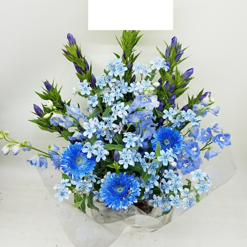 全国相応う能力のある 愛玩動物のお悔やみ花 pet87008 申し合わせ 花・観葉植物-フラワーアレンジメント