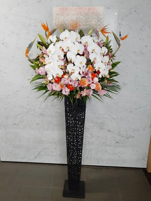 St1n097 白胡蝶蘭入 ピンクレッド系 黒ブリキ スタンド花 地域限定商品 東京 神奈川 埼玉 千葉 郡部や遠方ng 近隣地域もokですが一度お問い合わせ下さい 新しいスタイル