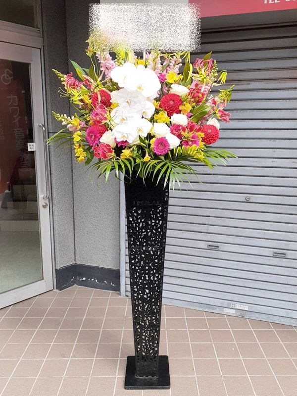 St1n135 白胡蝶蘭入 華やかにお任せ 黒ブリキスタンド花 地域限定商品 東京 神奈川 埼玉 千葉 郡部や遠方ng 近隣地域もokですが一度お問い合わせ下さい 品揃え豊富で