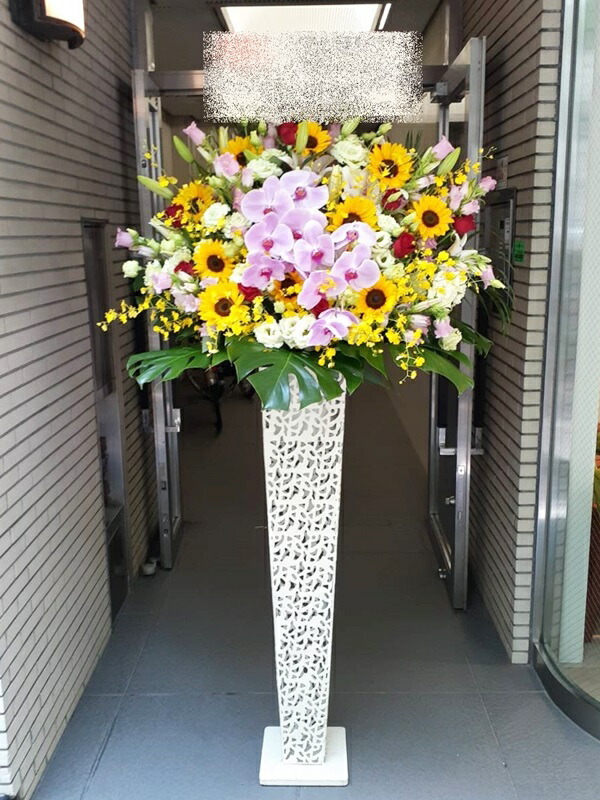 St1n627 色付胡蝶蘭入 お任せミックス 白ブリキ スタンド花 地域限定商品 東京 神奈川 埼玉 千葉 郡部や遠方ng 近隣地域もokですが一度お問い合わせ下さい Kanal9tv Com