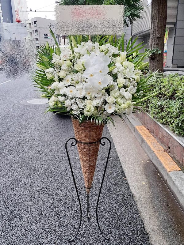 St1n797 白胡蝶蘭入 ホワイトグリーン系 コーン スタンド花 地域限定商品 東京 神奈川 埼玉 千葉 郡部や遠方ng 近隣地域もokですが一度お問い合わせ下さい Kanal9tv Com