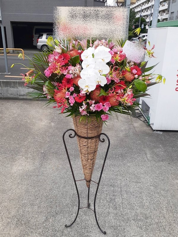 St1n799 白胡蝶蘭入 ピンク系 コーン スタンド花 地域限定商品 東京 神奈川 埼玉 千葉 郡部や遠方ng 近隣地域もokですが一度お問い合わせ下さい Kanal9tv Com