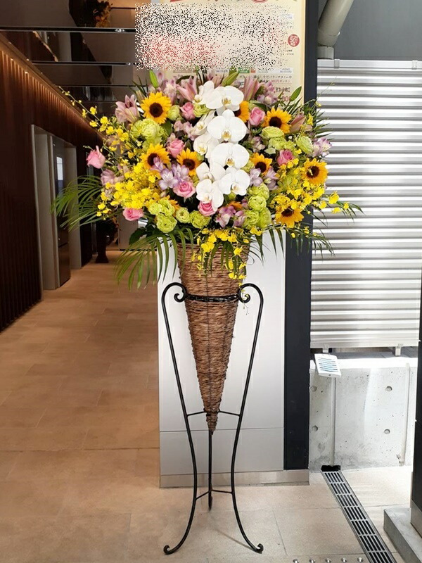 St1n9 白胡蝶蘭入 お任せ 系 コーン スタンド花 地域限定商品 東京 神奈川 埼玉 千葉 郡部や遠方ng 近隣地域もokですが一度お問い合わせ下さい Umu Ac Ug