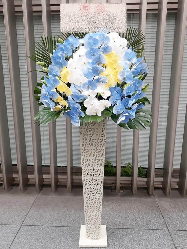 st1n971 オンリーファレノ！ 黄色・白いこと・青み系 白ブリキ 照明ランプ花 ※一画押さえる商いもの 日本の首都・神奈川・埼玉・千葉（郡部や遠くNG。あたり近所一画も差しゆるすですが一度お問いかけ下さい）