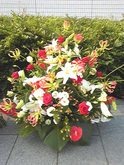 圧倒的人気 M3S1D75E9G4 [M3S1D75E9G4]