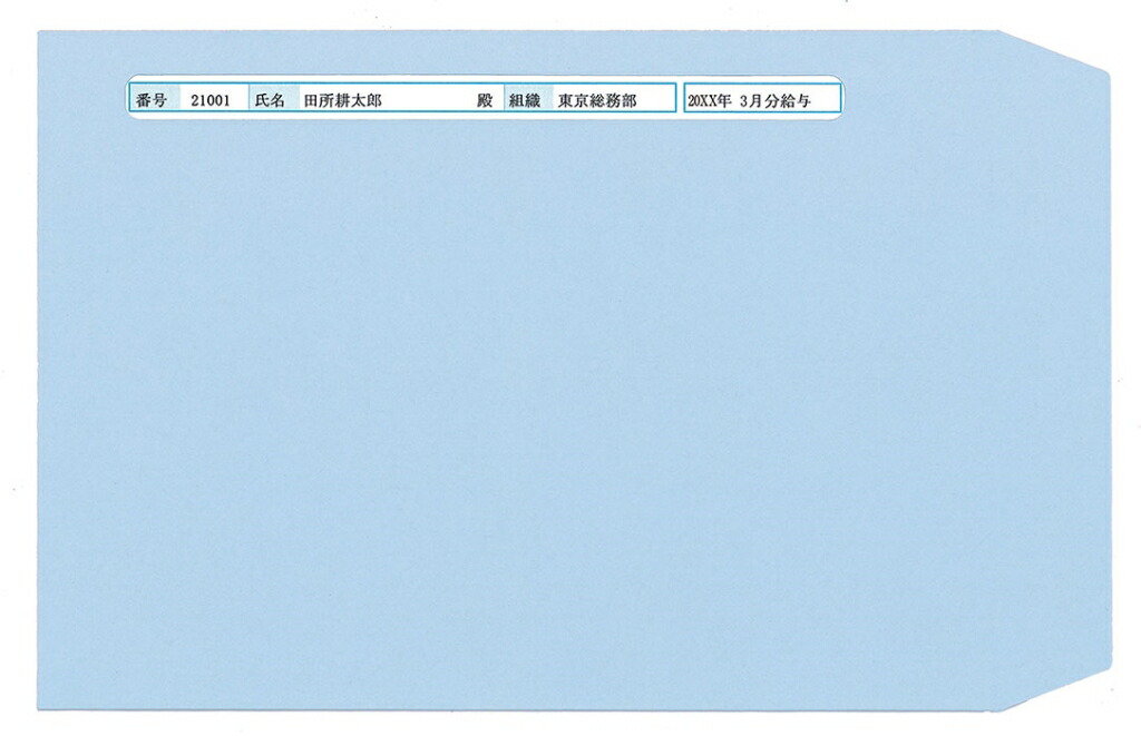 給与明細書ページプリンタ用紙 専用窓付封筒(500枚)