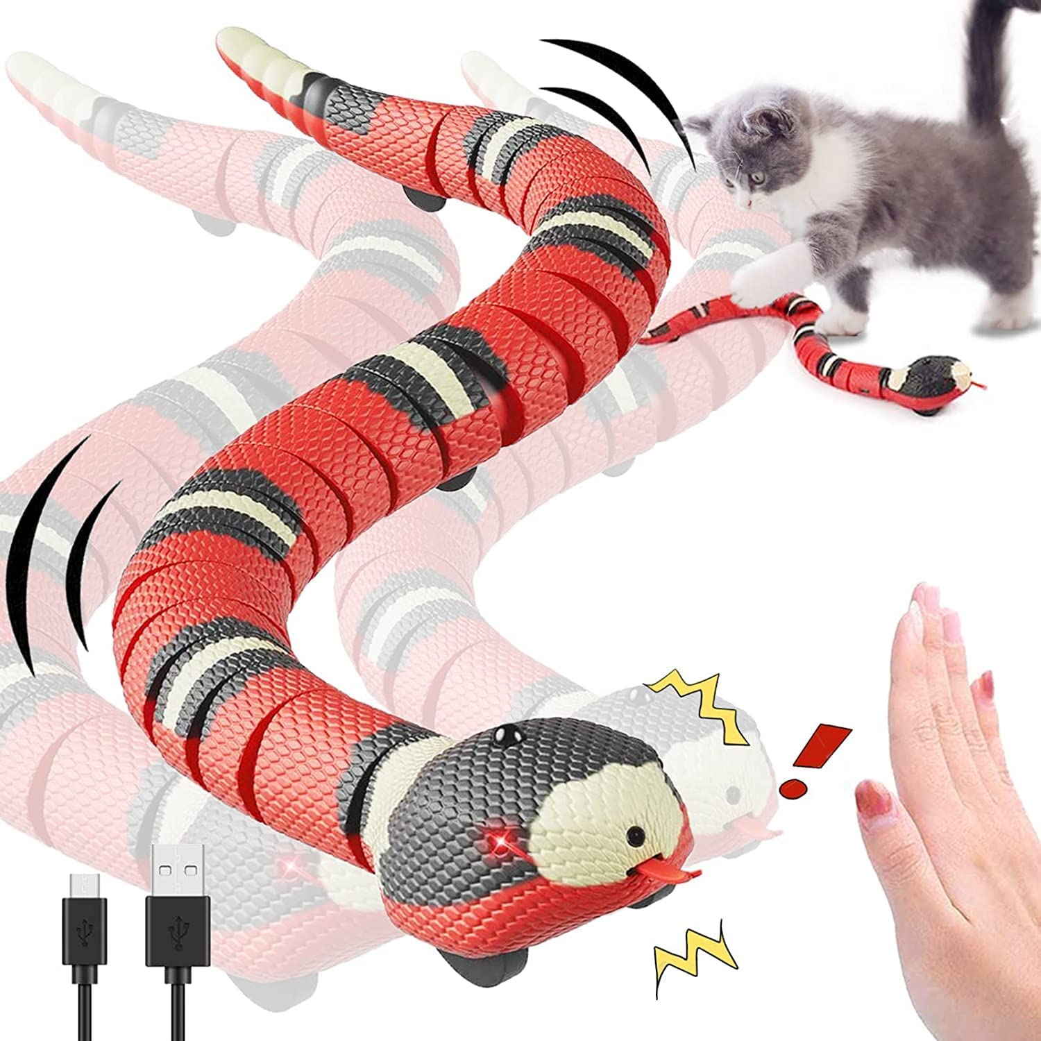 ヘビと猫 hq720.jpg?sqp=-