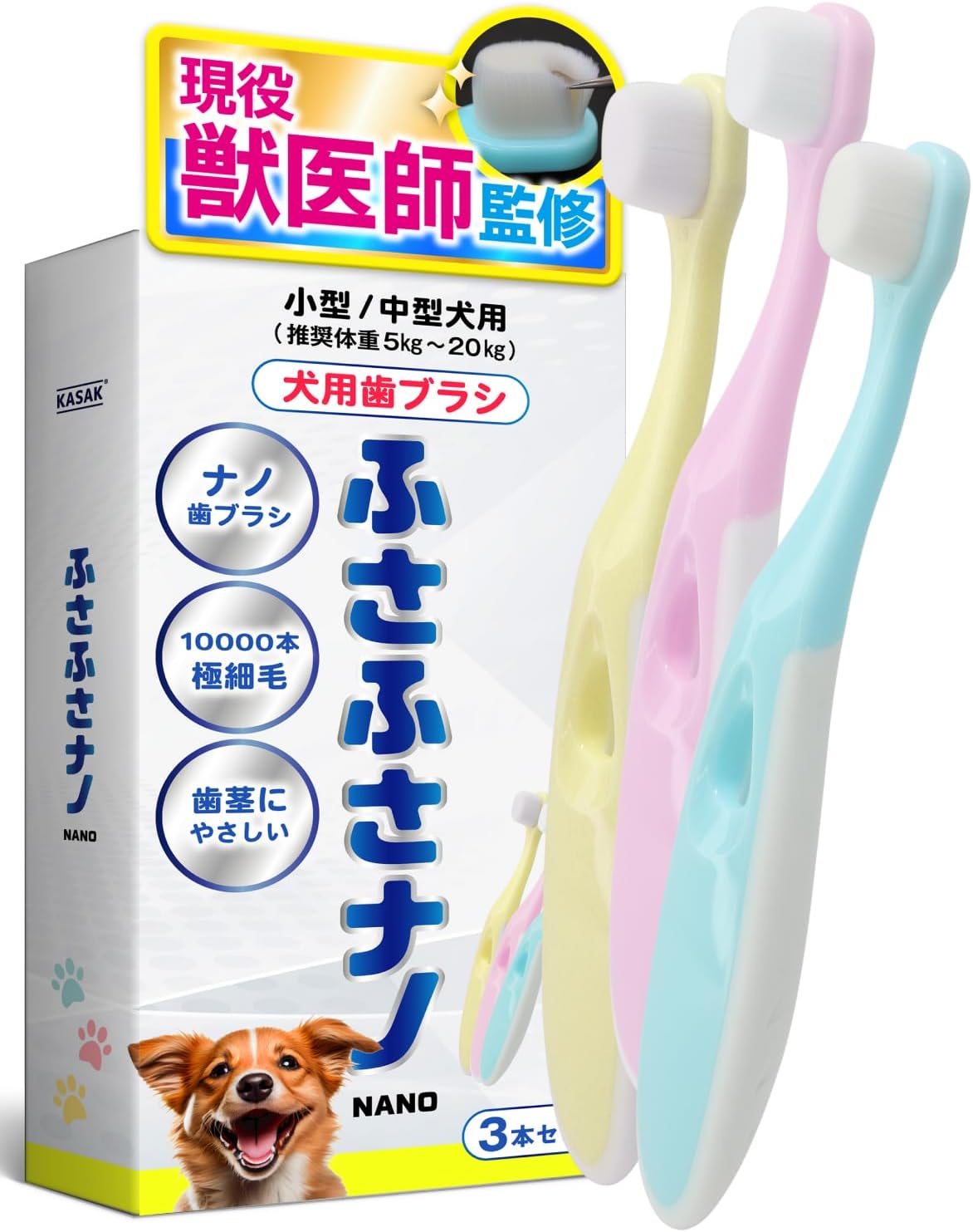 コヨーテの犬歯　50本セット（Sサイズ） コヨーテの犬歯 50本セット（Sサイズ） - メルカリ