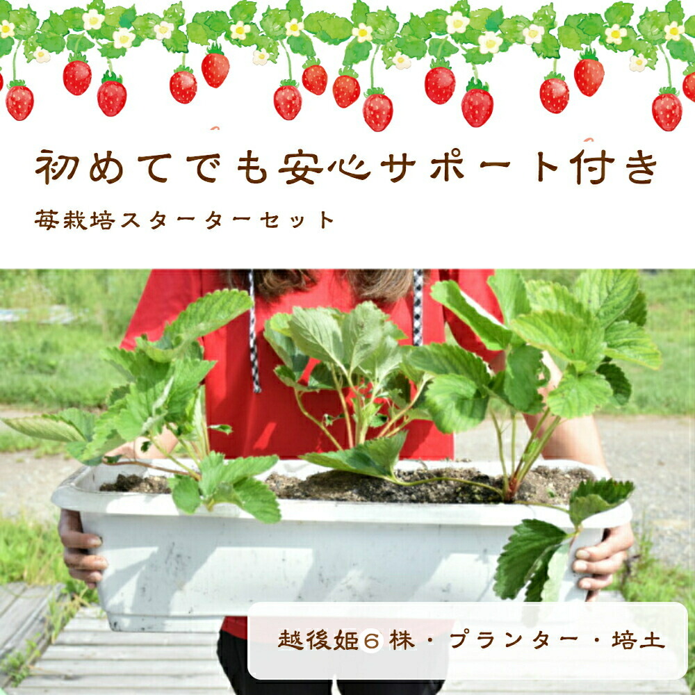 free_1633911649310.jpg