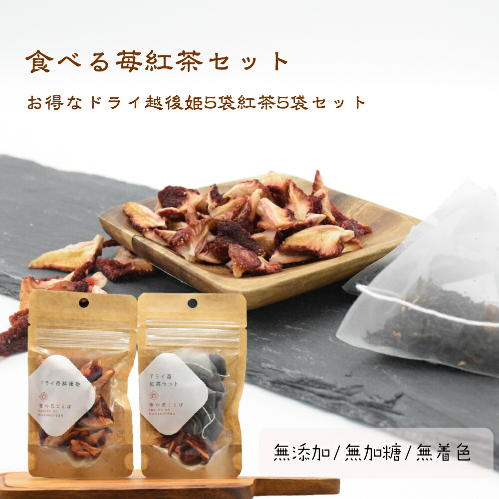 送料無料　お得な5セット　癒しのティータイムセットドライフルーツ紅茶ドライいちご“越後姫“ 15g苺紅茶3g×４セット［フィルタータイプ]　