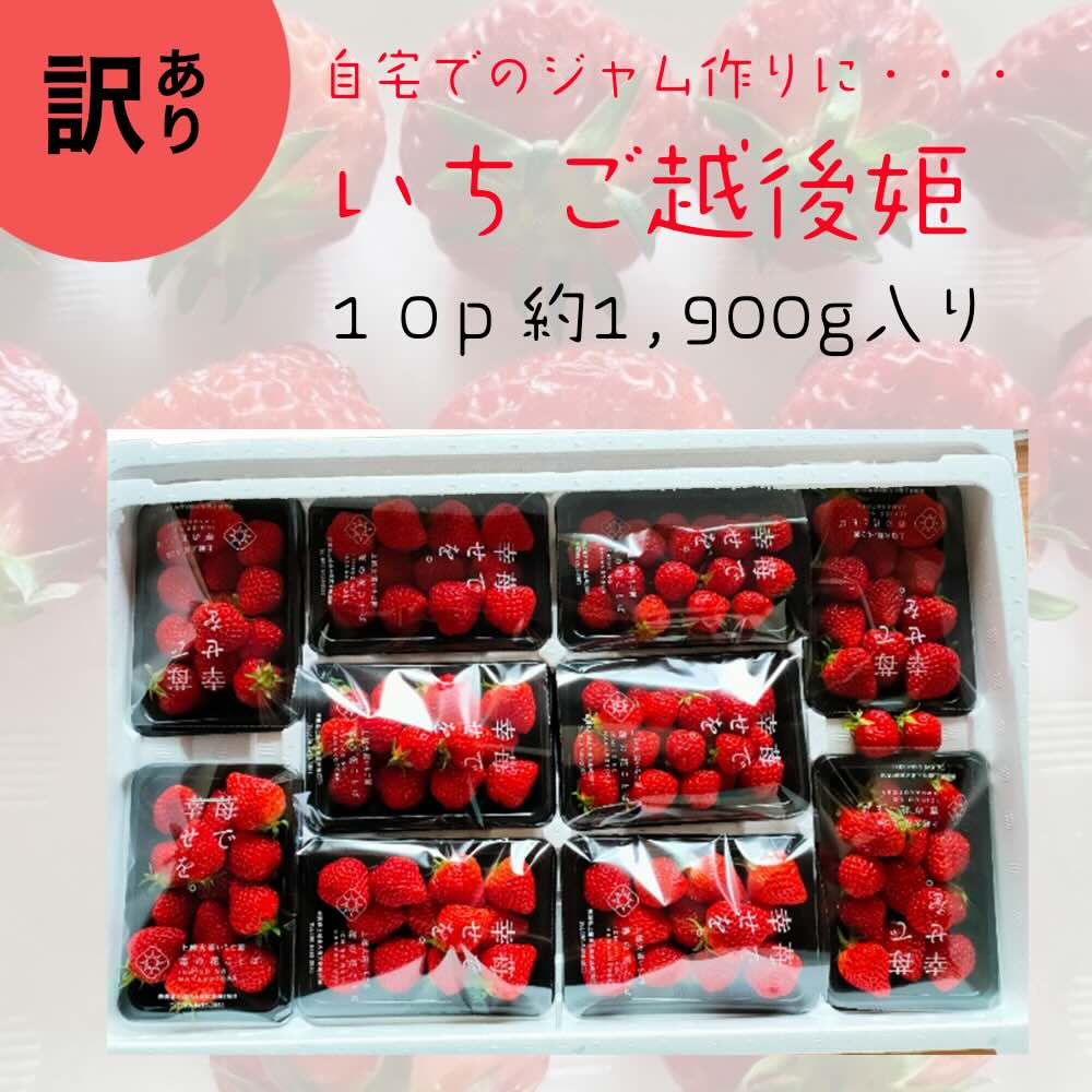 訳あり越後姫１０pセット約1,900g入り *8104