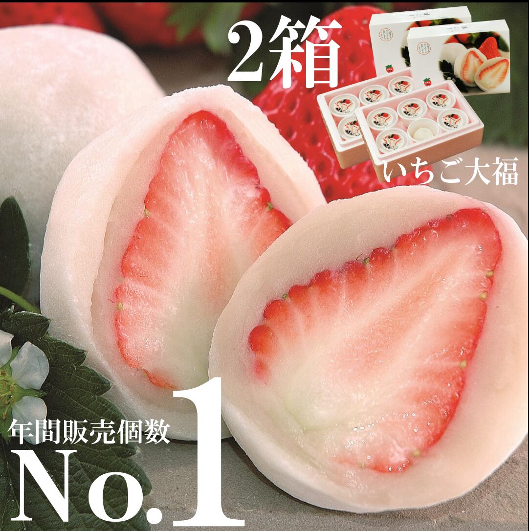午前0時のいちご大福6個入2箱 いちご大福 いちごプラザ 伊豆 白あん 6個入 大福や 苺大福 静岡 大福 高級 お取り寄せ ギフト お土産 手土産 いちご イチゴ 和菓子 フルーツ大福 いちごプラザ大福やフルーツ こしあん 夏いちご 紅ほっぺ 義母 有名 おすすめ 人気