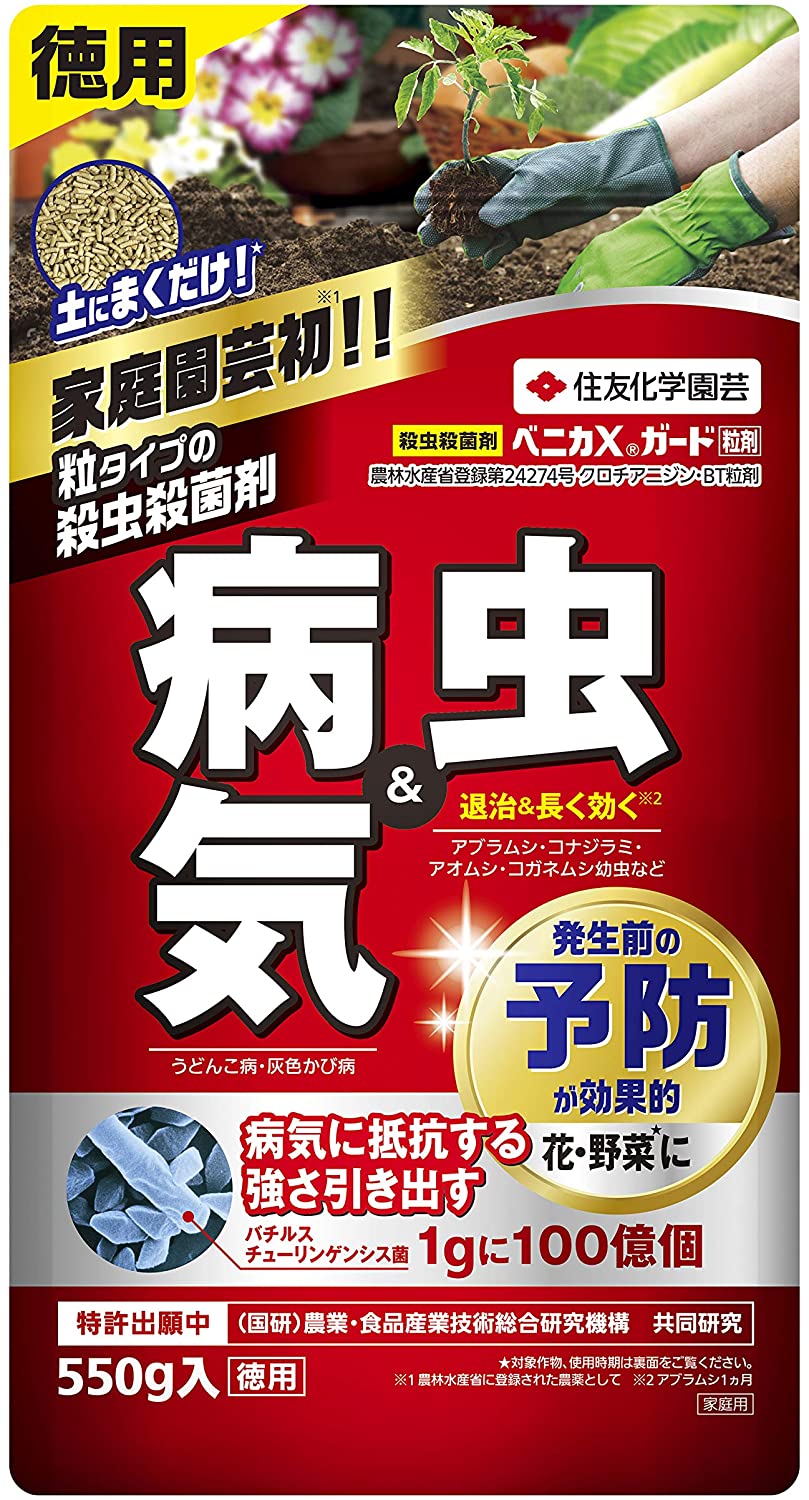 初回限定 住友化学園芸 殺菌殺虫剤 ベニカXガード粒剤 250g discoversvg.com