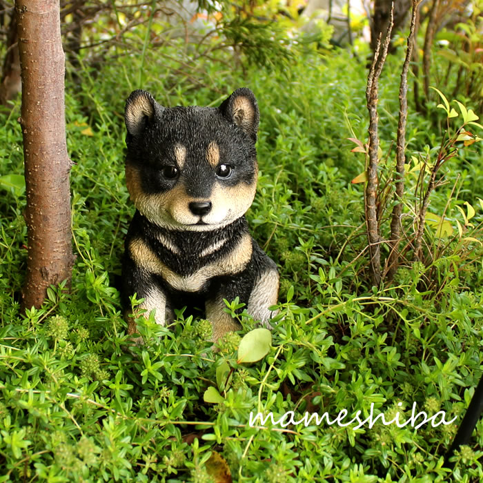 楽天市場 黒豆柴 柴犬 子犬 置物 ドッグオーナメント 花苗園芸店なごみ