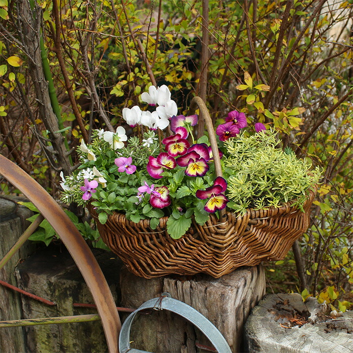 楽天市場 ウィロー ハンドル付き 楕円 インナー バスケット プランター 寄せ植え用鉢 0178 花苗園芸店なごみ