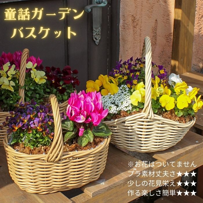 楽天市場】寄せ植えできる かわいい カラフル バスケット（S