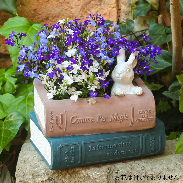 楽天市場】スニーカープランター 白 靴 鉢 装飾 ポット 苗 3.5号用