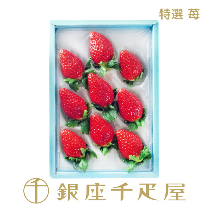 ［WEB限定］［ご予約受付終了間近］ 銀座千疋屋 特選 苺（8～9個入） ［送料無料］［ポイント2倍］ ～ いちご ギフト 贈り物 フルーツ スイーツ プレゼント お菓子 内祝い 誕生日 お祝い 御礼 送料無料 千疋屋 ～