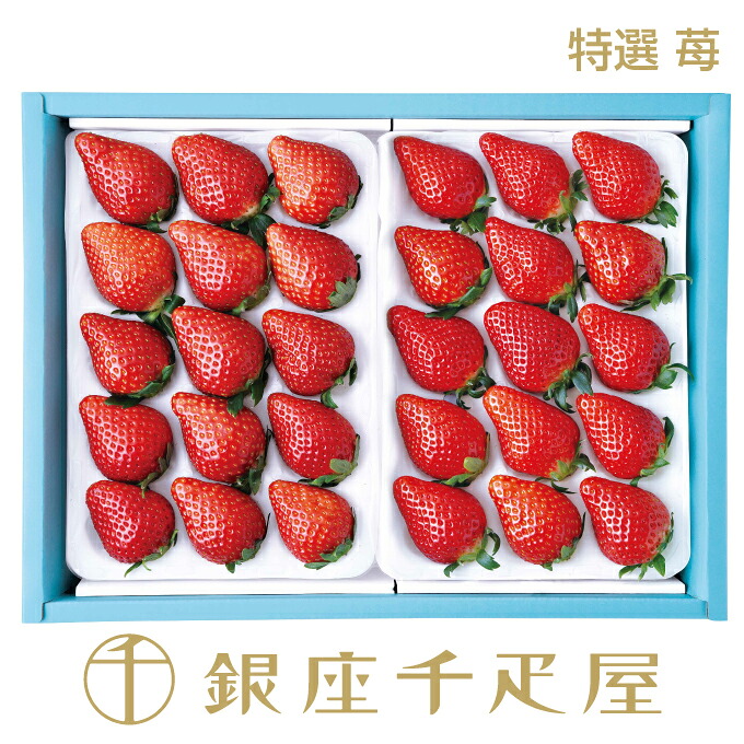 ［ご予約受付終了間近］銀座千疋屋 特選 苺（24～36個入）No3 ［送料無料］［ポイント2倍］ ～ いちご ギフト 贈り物 フルーツ スイーツ プレゼント お菓子 内祝い 誕生日 お祝い 御礼 送料無料 千疋屋 ～