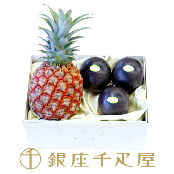 楽天市場 銀座千疋屋特選 国産パイン パッションフルーツ 千疋屋 フルーツ ギフト 内祝い 父の日 お中元 銀座千疋屋
