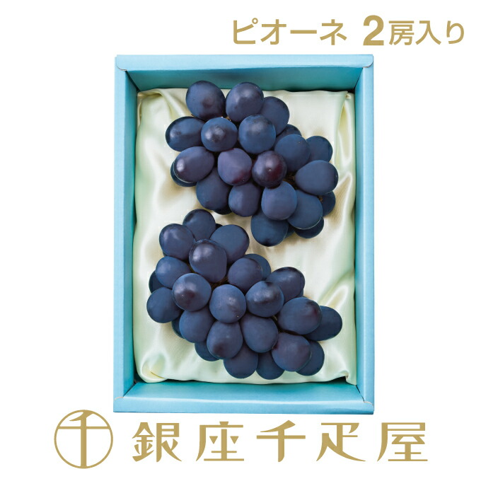 銀座千疋屋 ピオーネ詰合せ 2房入 No9<BR>［送料無料］［ポイント2倍］<BR><BR>～ お中元 御中元 ぶどう ギフト 贈り物 フルーツ スイーツ プレゼント お菓子 内祝い 誕生日 お祝い 御礼 快気内祝 お見舞い 送料無料 千疋屋 ～