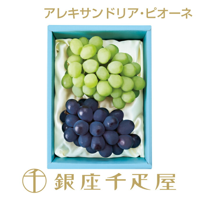 銀座千疋屋 アレキサンドリア（小房）・ピオーネ詰合せ No8<BR>［送料無料］［ポイント2倍］<BR><BR>～ お中元 御中元 ぶどう ギフト 贈り物 フルーツ スイーツ プレゼント お菓子 内祝い 誕生日 お祝い 御礼 快気内祝 お見舞い 送料無料 千疋屋 ～