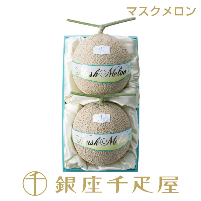 銀座千疋屋　マスクメロン  (化粧箱)  2個入（各約1.3kg～）No.30<BR>［送料無料］［ポイント2倍］<BR><BR>～ 御中元 お中元 父の日 メロン ギフト 贈り物 フルーツ スイーツ プレゼント お菓子 内祝い 誕生日 お祝い 御礼 快気内祝 お見舞い 送料無料 千疋屋 ～