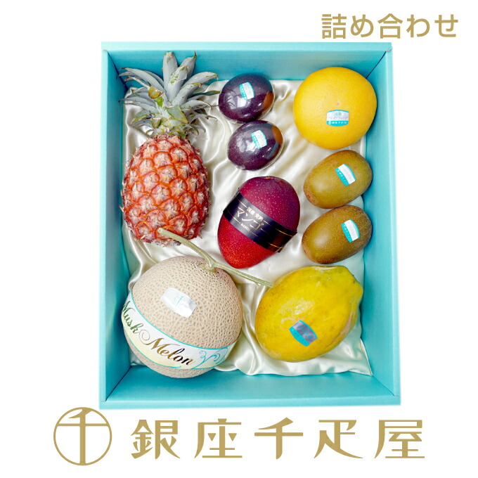 銀座千疋屋　果物詰合せ［送料無料］［ポイント2倍］～ お中元 御中元 父の日 母の日 詰め合わせ ギフト 贈り物 フルーツ スイーツ プレゼント お菓子 内祝い 誕生日 お祝い 御礼 快気内祝 お見舞い 送料無料 千疋屋 ～｜銀座千疋屋