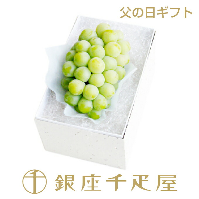 ［数量限定］［父の日限定］銀座千疋屋　アレキサンドリア1房入（化粧箱）約600g［日付指定不可「6/13～6/15」の期間内のいずれかの日にちにお届け］<BR><BR>～ 父の日 ぶどう ギフト 贈り物 フルーツ プレゼント お菓子 内祝い 誕生日 お祝い お見舞い 送料無料 千疋屋 ～