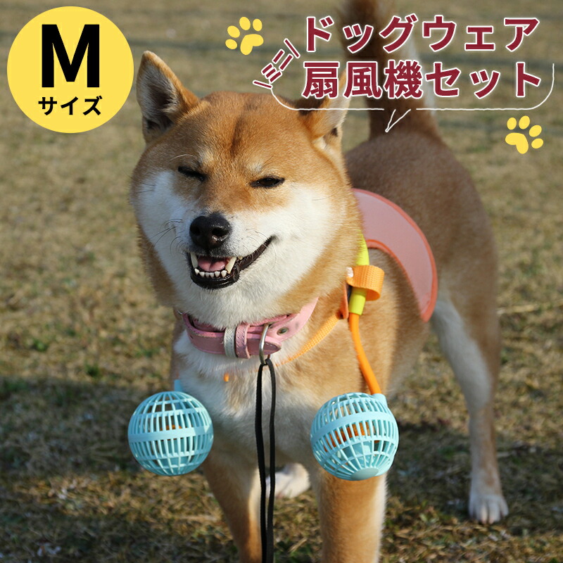 犬好きセット spice105-tk.jpg