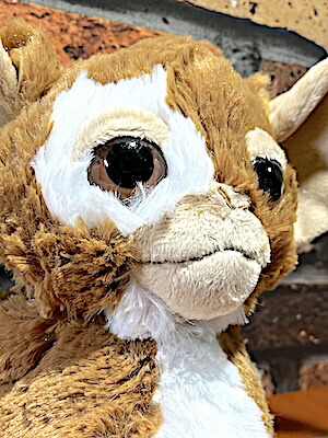 楽天市場】GREMLINS GREMLIN 8