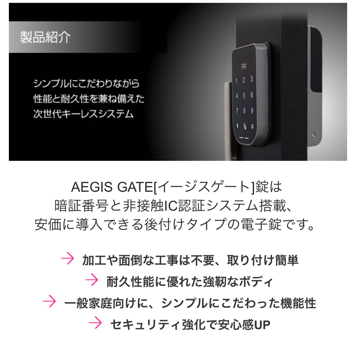 ２台セット！！メーカー正規販売 SiAL イージスゲート 電子錠 AEGIS