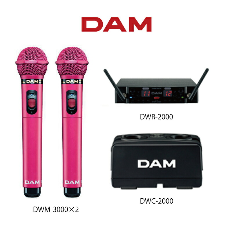 買取店舗●DAM/第一興商●DWR-2000＆DWM-2000●800MHz帯★業務用ワイヤレスマイクセット★美品★カラオケ カラオケ機器