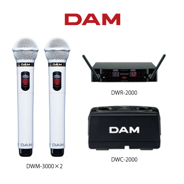 DAM（ダム） DWM-3000P（ピンク） 電波式ワイヤレスマイク４点