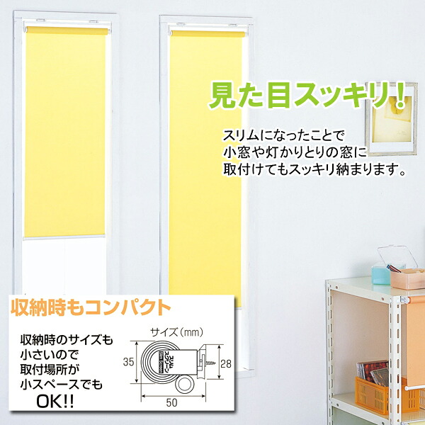 【クーポン配布中】【送料無料】スリムロールスクリーン　ビス止めタイプ　幅90cm×高さ180cm 【代引不可】