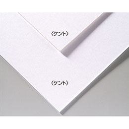 【マラソンでポイント最大47.5倍】【20個セット】 ARTEC A&Bオリジナルアートボード B4ケント ATC143305X20|インテリアの壱番館