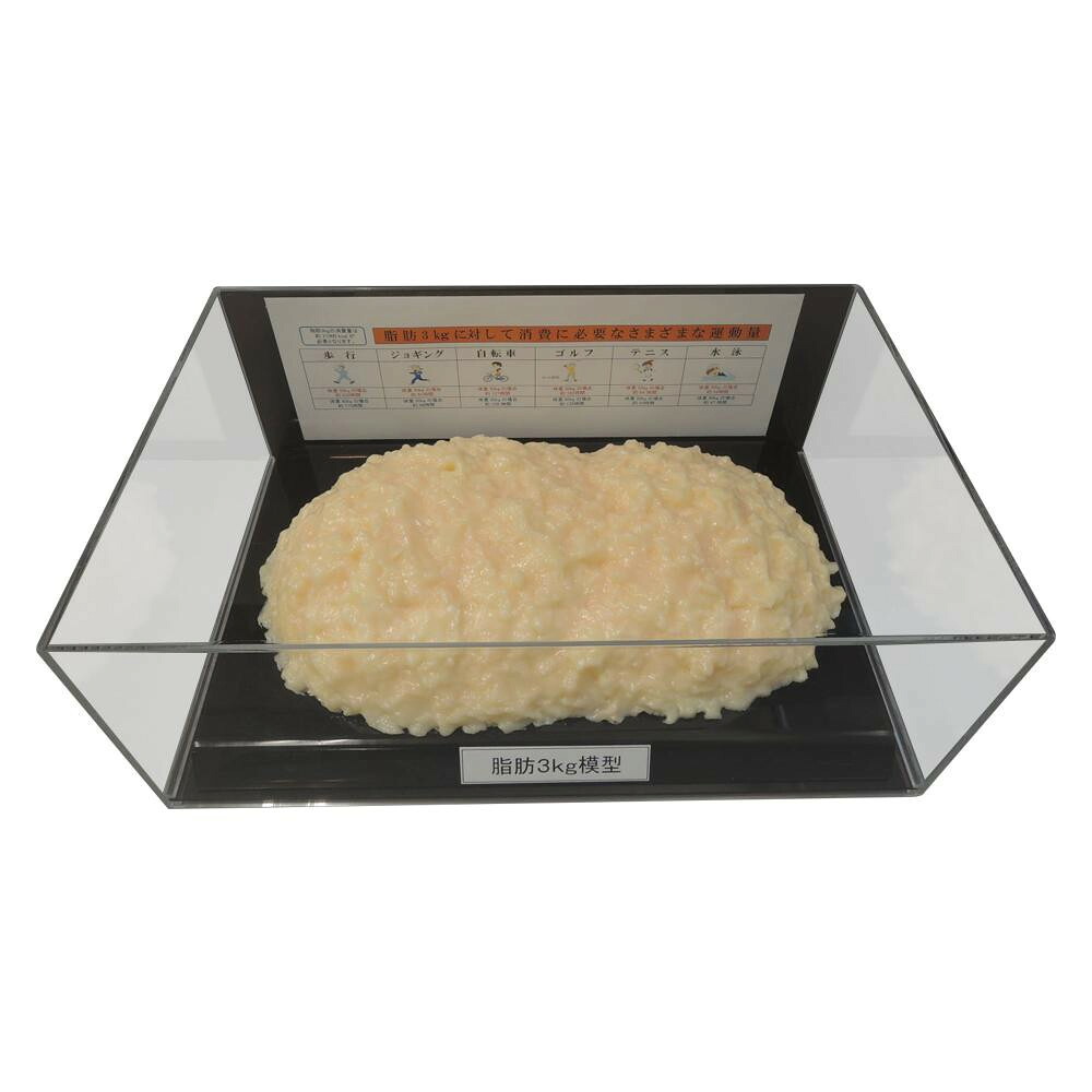 【百貨店SALEでP最大限度47倍】脂肪組織ひな型図形容れもの入 3kg IP-980