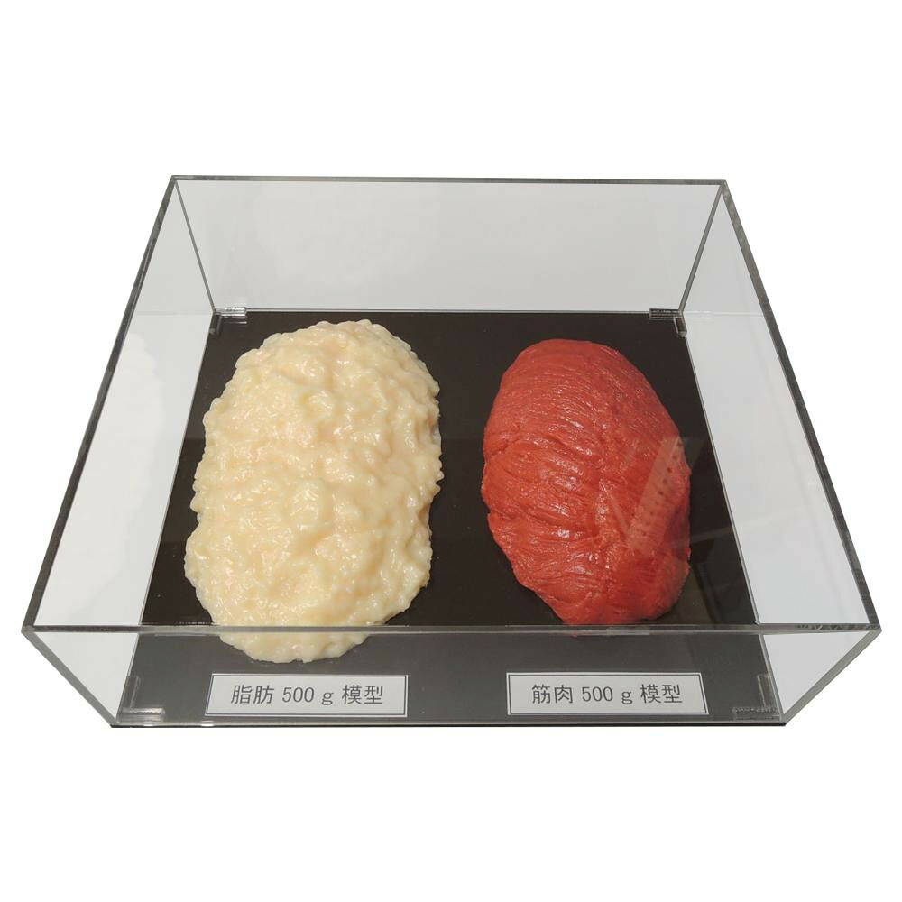 【百貨店SALEでP最大限度47倍】あぶら身/腕力引きあわせる書き割り(アクリル樹脂容れもの入)500g IP-981