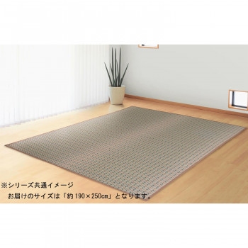 【ポイント20倍】茶染掛川織 アクセントラグ せせらぎ 約190×250cm TSN340849 グレイ