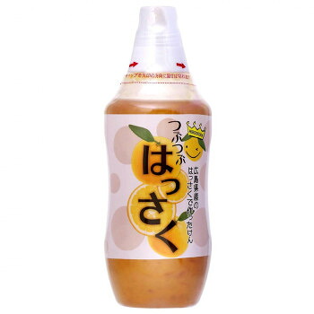 【マラソンでP最大49倍】北川村ゆず王国　つぶつぶはっさく　480g　12個セット　 22179