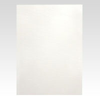 【クーポン配布中&マラソン対象】（まとめ） カラーボード アルテ ニューカラーボード ホワイト BP-5CB-A2-WH 4963783201124 ●Ａ２判●縦５９４&times;横４２０ｍｍ 1枚【&times;25セット】｜インテリアの壱番館