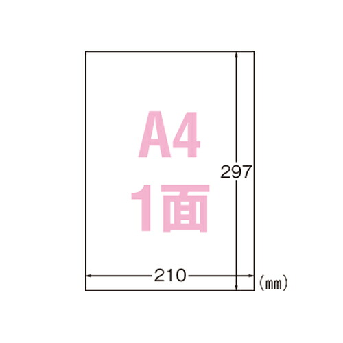 【百貨店SALEでP最大限度47倍】（まとめ） 印刷者下げ札（レーザ印刷者用） エーワン 室外でも使えるサインラベルシール 白いこと 31031 4906186310314  1冊【×5仕掛ける】