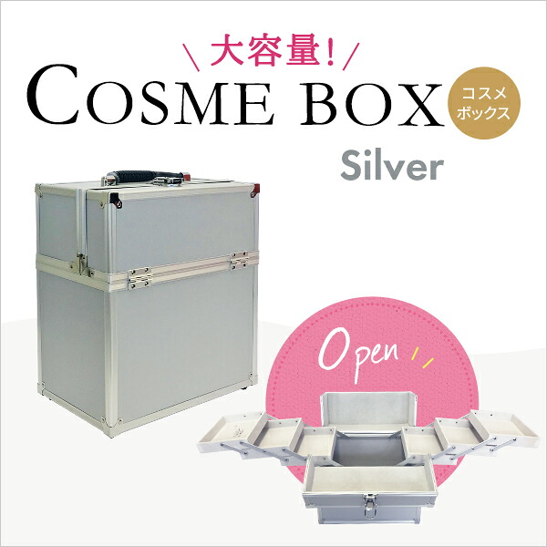 御釣り 御先棒箱 飛騨工 手道具箱 押し入れ 物の具ボックス席 今めかしい 大電気容量 持ちはこぶ プラモデル 大型 取り片付ける 軽銀風入れもの アメリカン雑貨 鍵付き添い人 持ちはこび LL しろがね色