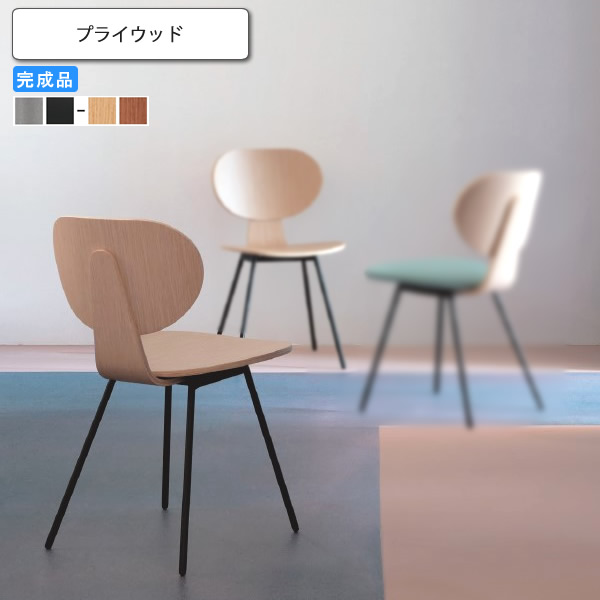 【ポイント20倍】ダイニングチェア プライウッド 業務用家具 送料無料 完成品 店舗 施設 コントラクト