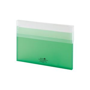 【ポイント20倍】（まとめ）LIHITLAB コングレスケース薄型 A-5035-6 黄緑【×10セット】