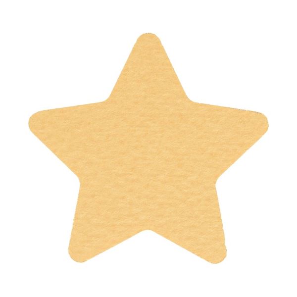 【ポイント20倍】メガジャンボクラフトパンチ ホシ